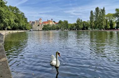 Schloss Bernburg mit Saale und Schwan
