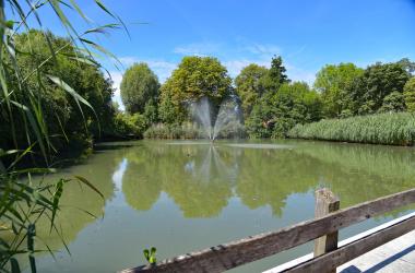 Torteich Halberstadt